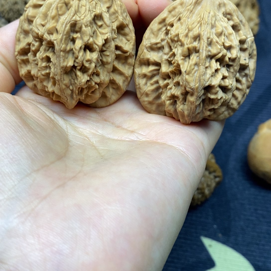 文玩核桃把件秦岭麦穗虎头42全品