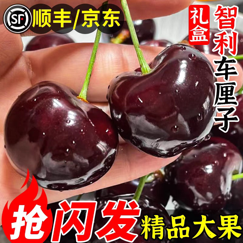 【净重5斤原箱】4JDD果王智利进口桑提娜空运车厘子水果内附果径卡