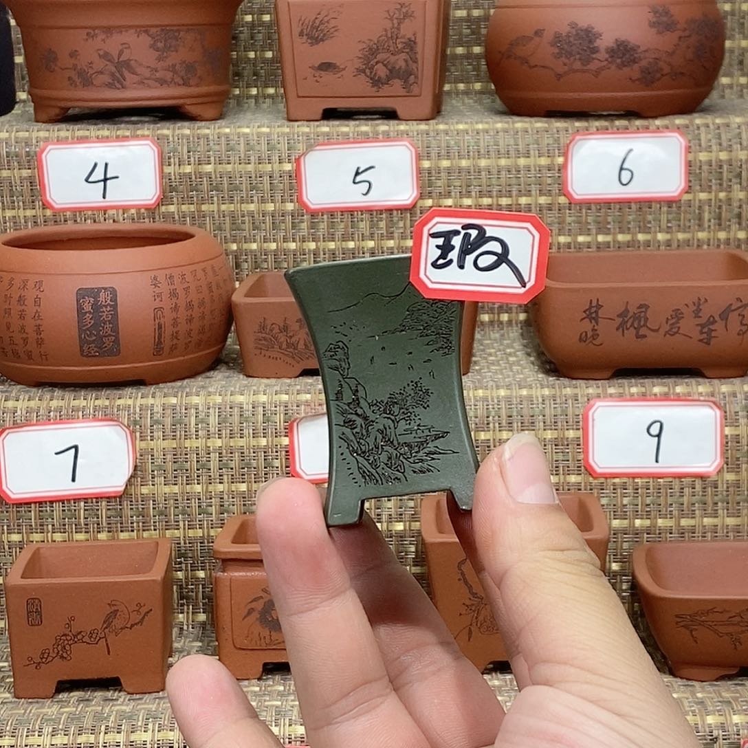 紫砂花盆我在等一