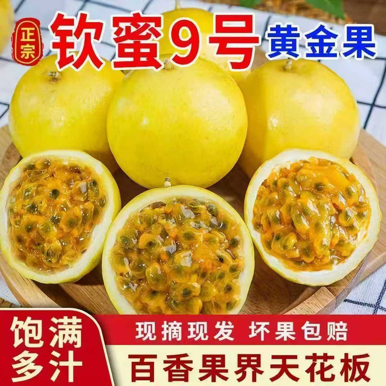 广东正宗产地直发钦蜜9号黄金百香果香甜多汁时令水果整箱包邮