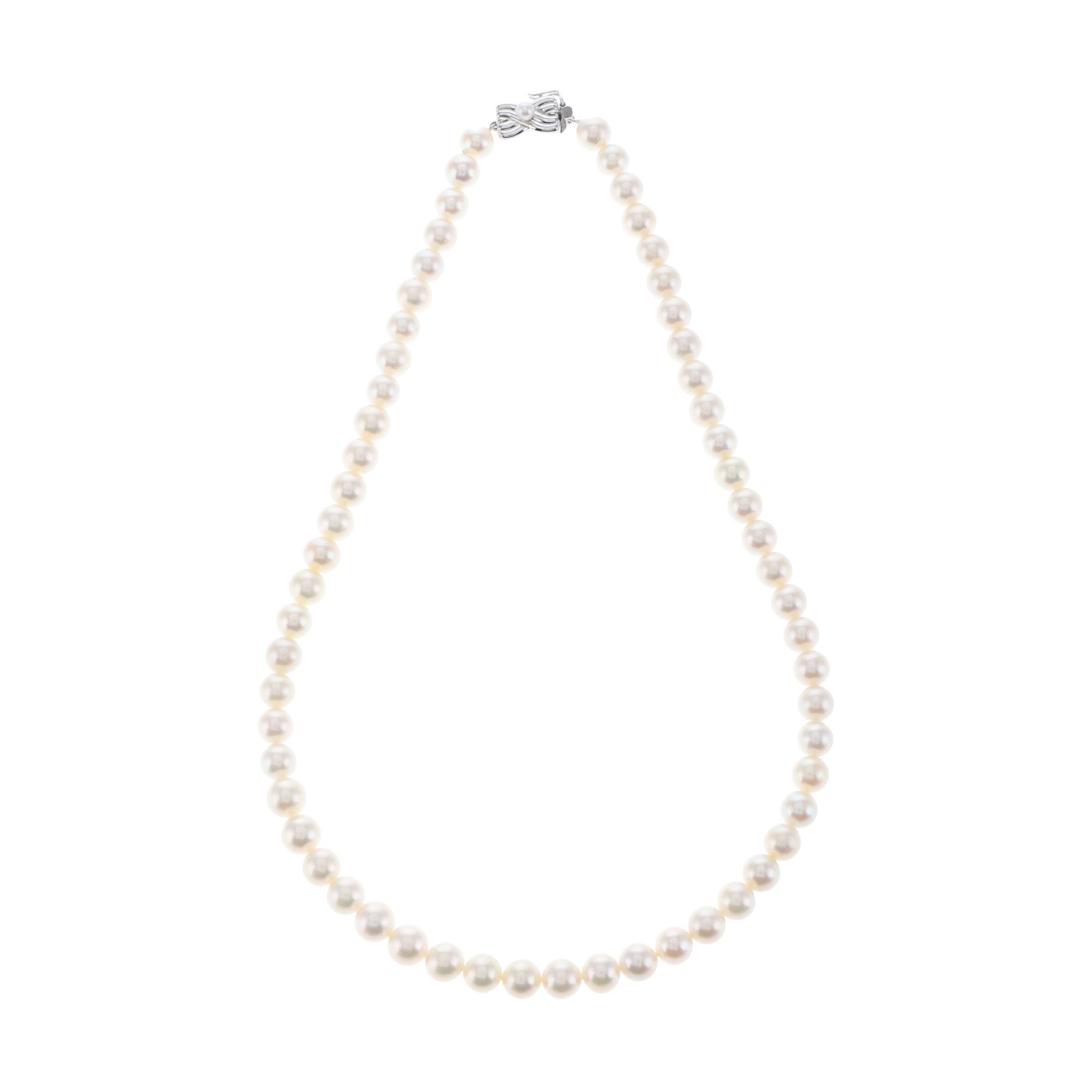 红布林/A3/塔思琦/99868208/z/121800