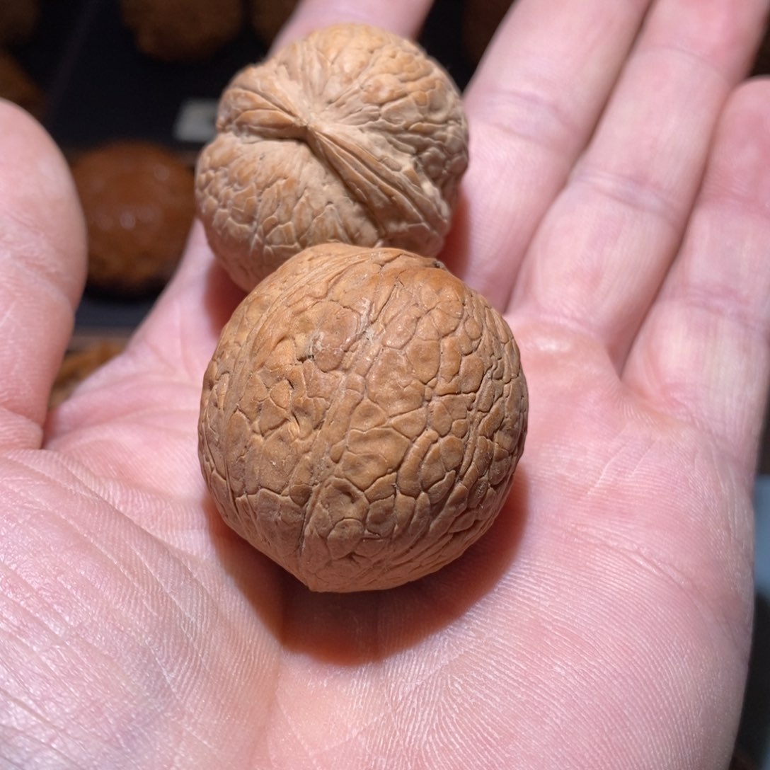 吊坠文玩核桃野生核桃