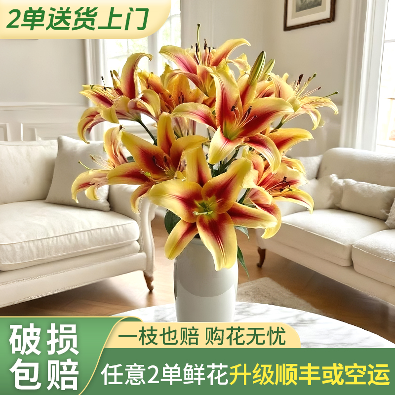 【源头优选老六】双色球香水百合/元旦预热 任意两单鲜花升级快递