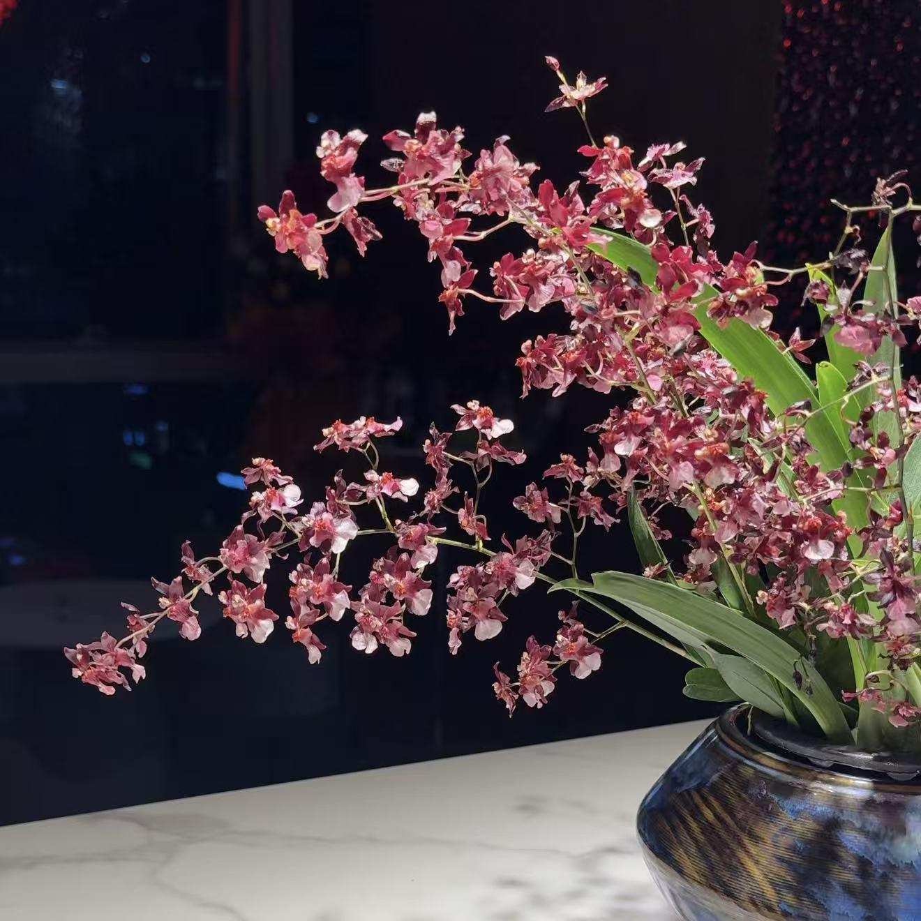 【送蘑菇花盆】10-15支花剑红色梦香兰文心兰精致兰花名贵花卉盆栽