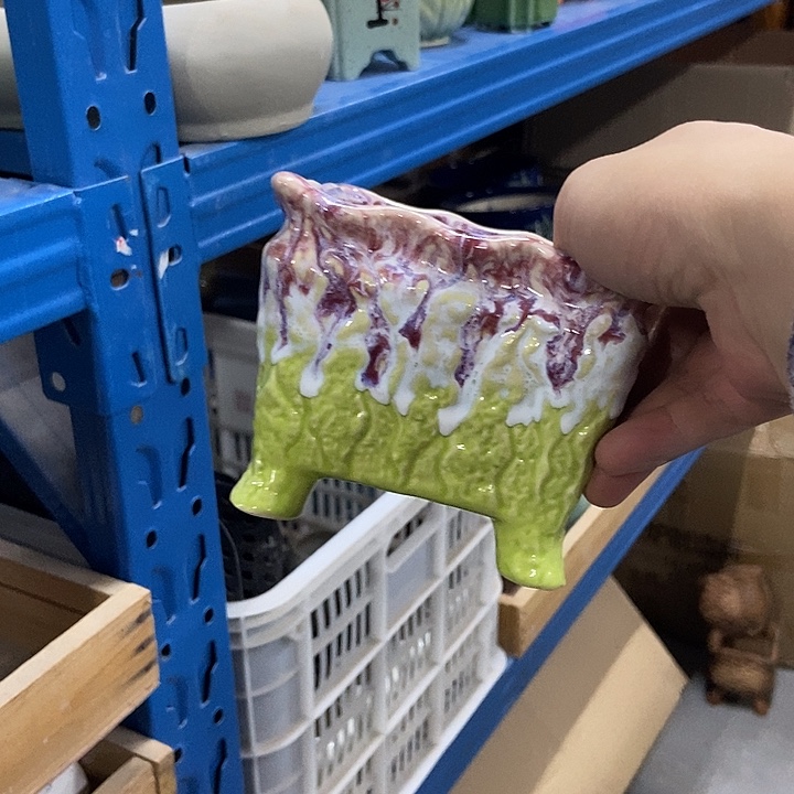 花盆单场满9.9发货11×9.5绿