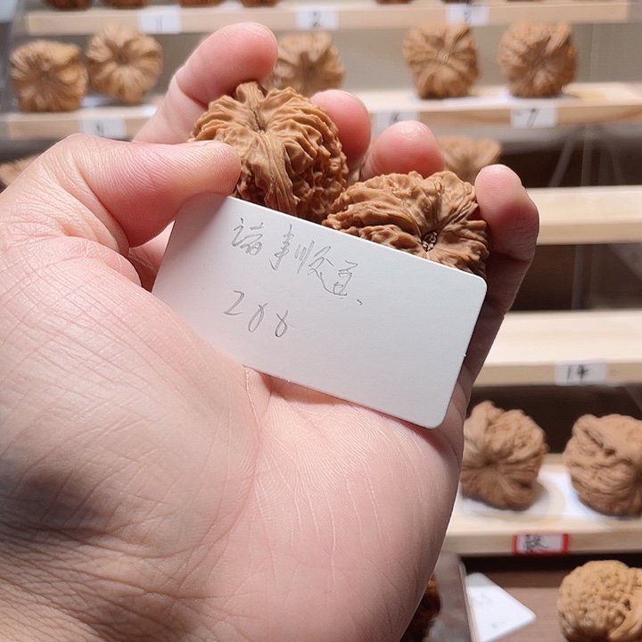 诸***碍把件文玩核桃鲸品南疆石核桃