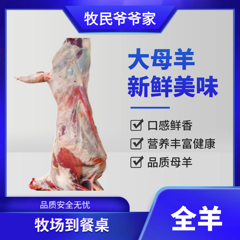 内蒙古纯牧区羊肉 母羊全羊整羊 整扇20%腿排 40斤