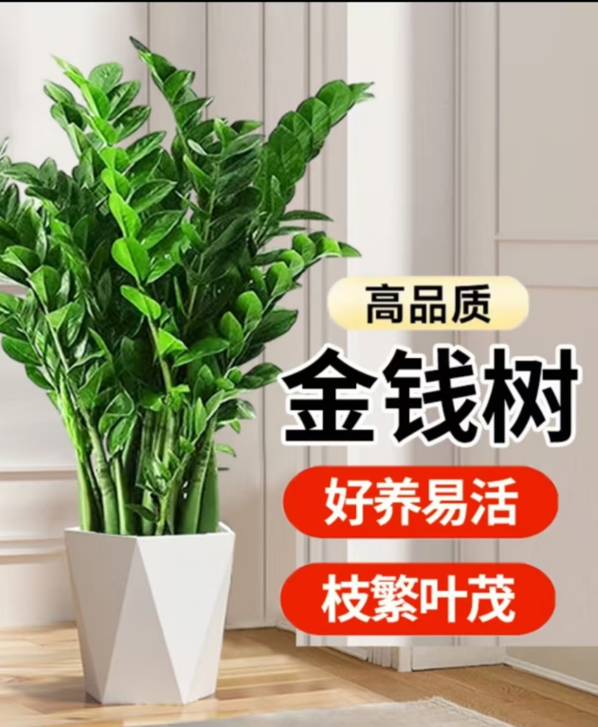 金钱树60cm-1.4米高财源广进绿植盆栽好养活开业乔迁送礼居家首选