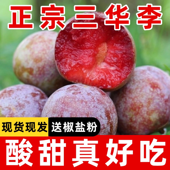 正宗钱排三华李头茬当季新鲜孕妇小孩酸酸脆脆解腻多汁
