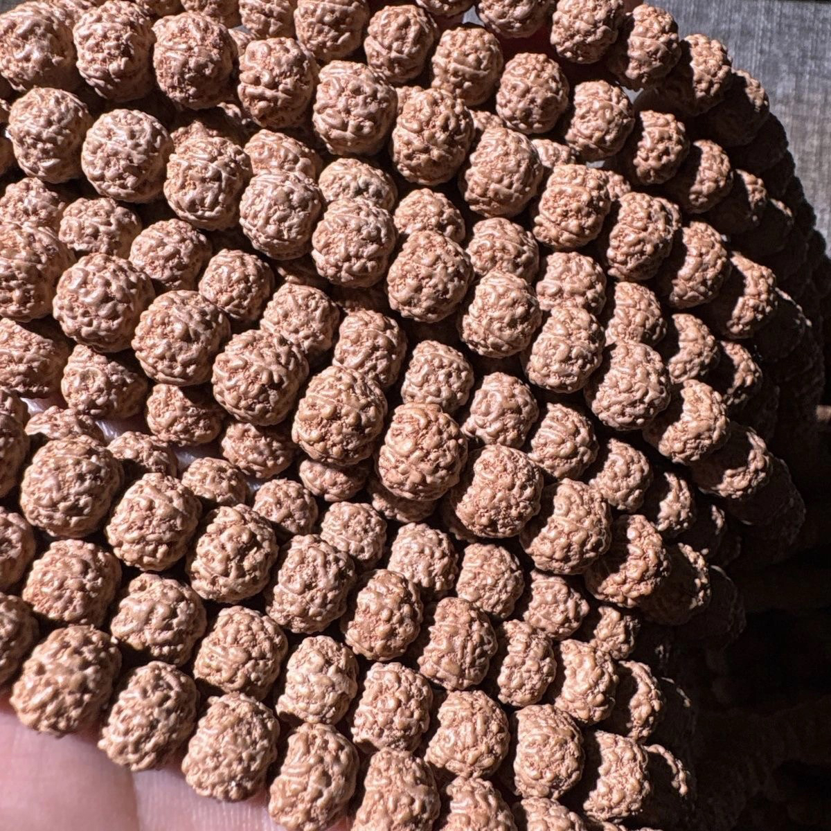 满肉未清理原桩一代闷墩龙小金刚菩提108颗手串金刚文玩佛珠手链