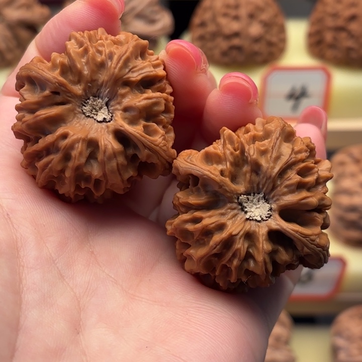 核桃40全品龙门涧