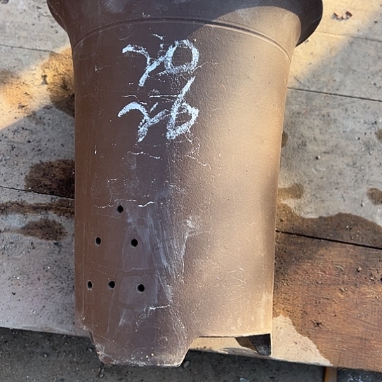 紫砂工艺厂……紫砂工艺厂……