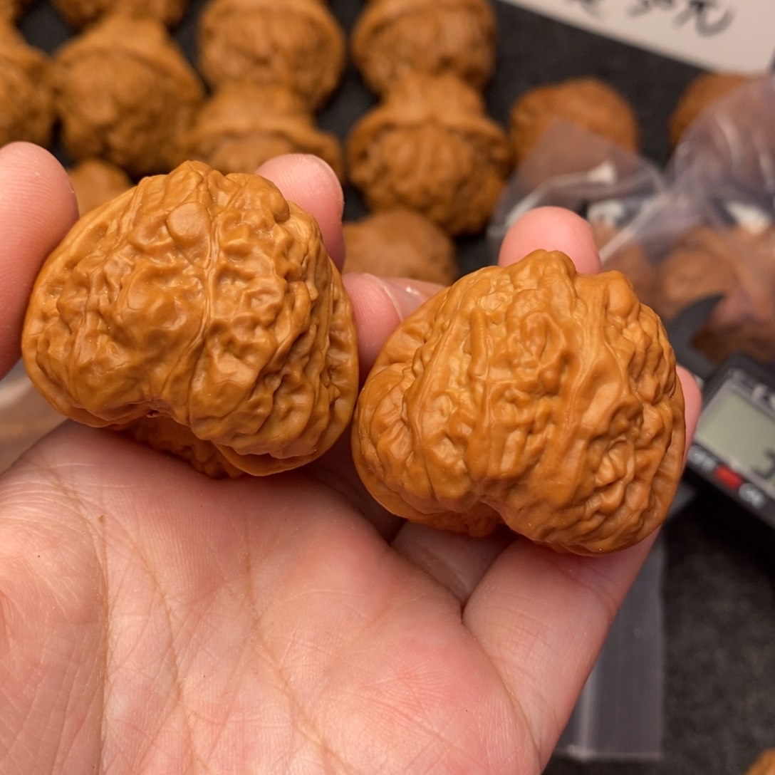 文玩核桃把件…**…蛤蟆37