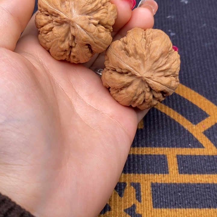 未***缪霸王龙文玩核桃文玩