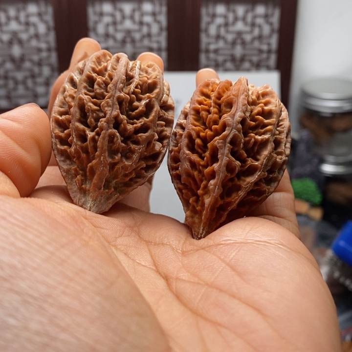 文玩核桃把件核桃78