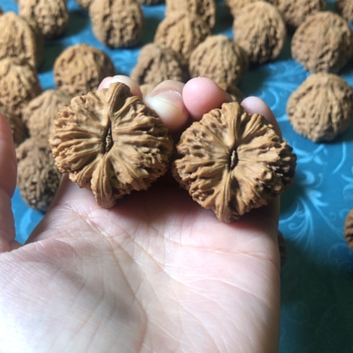 【闪购商品】文玩核桃把件奚*一代将