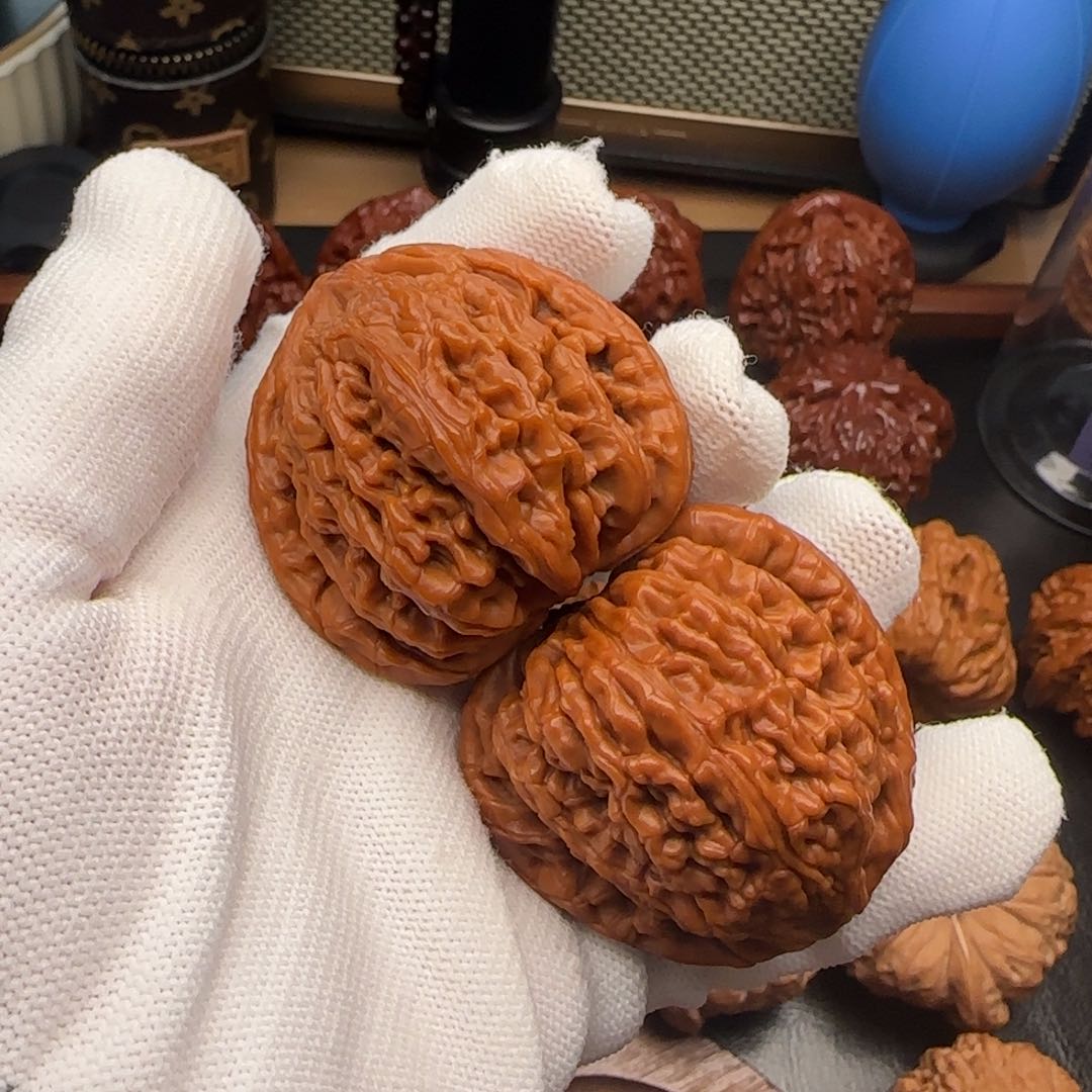 倾*?小冉核桃全品虎头王44