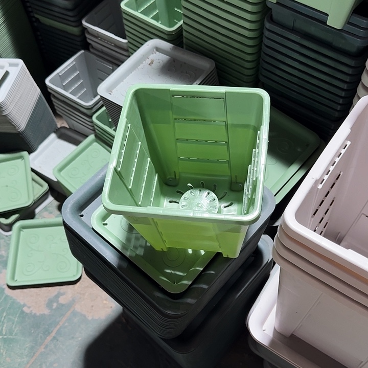 编号201果绿无托10个