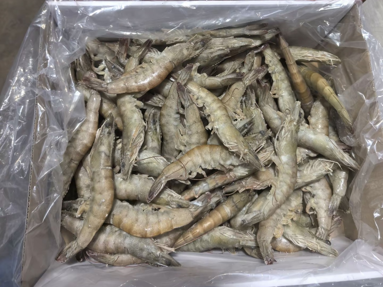 冰鲜南美白虾盐冻30-40无冰大虾紧食鲜甜新鲜2公斤