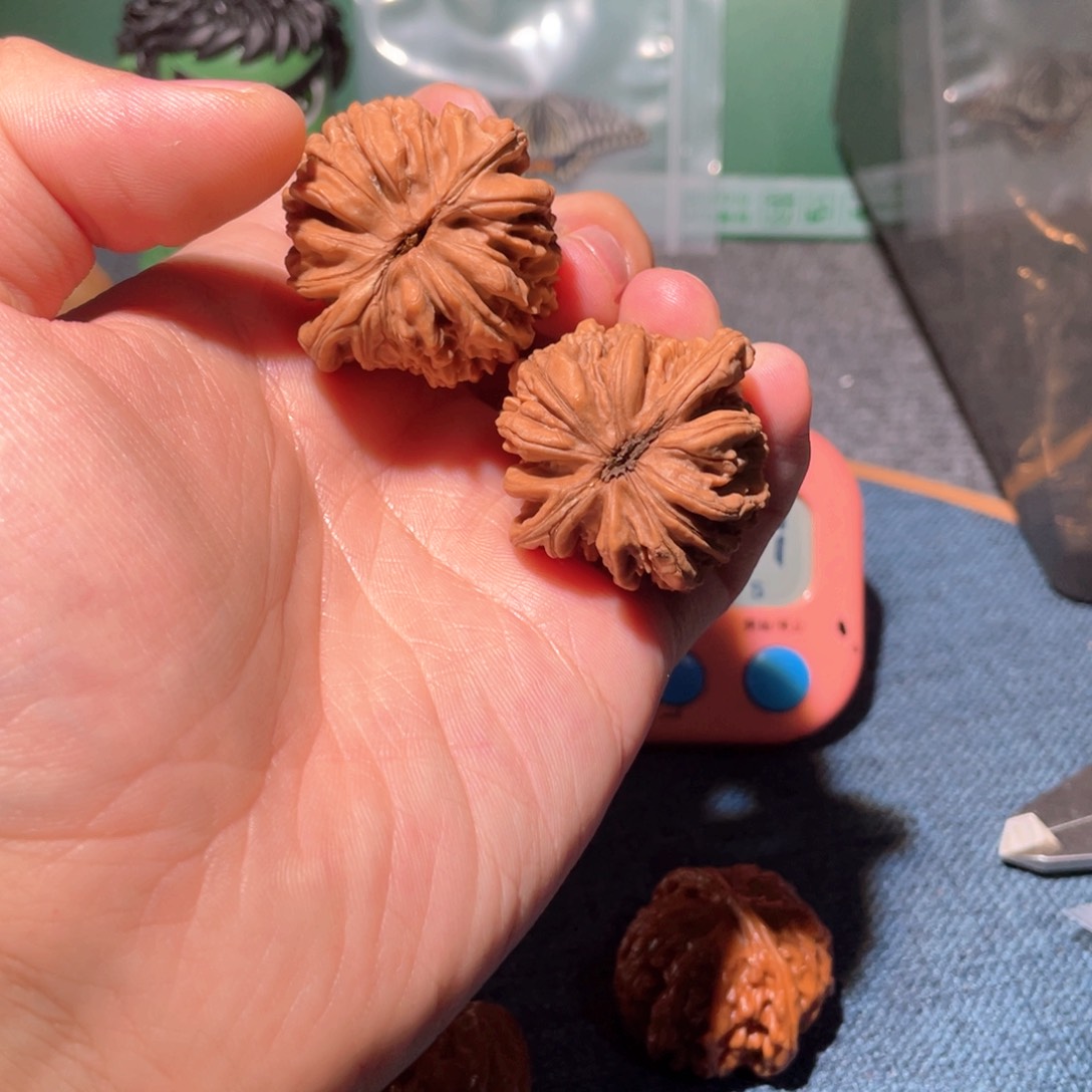 文玩核桃把件599999 95899