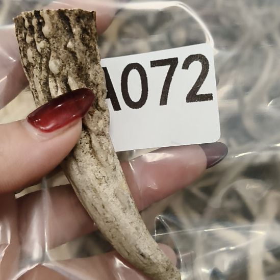 禁***区鹿角鹿角鹿角鹿角鹿鹿