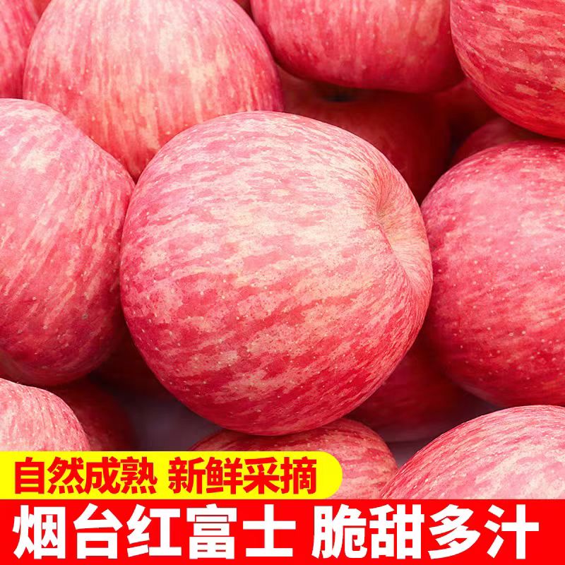 正宗山东烟台红富士苹果当季新鲜脆甜多汁水果多仓发货