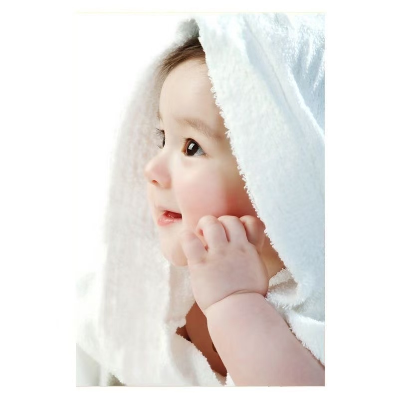 男孩卡通风A类男吸汗衣服（内裤）