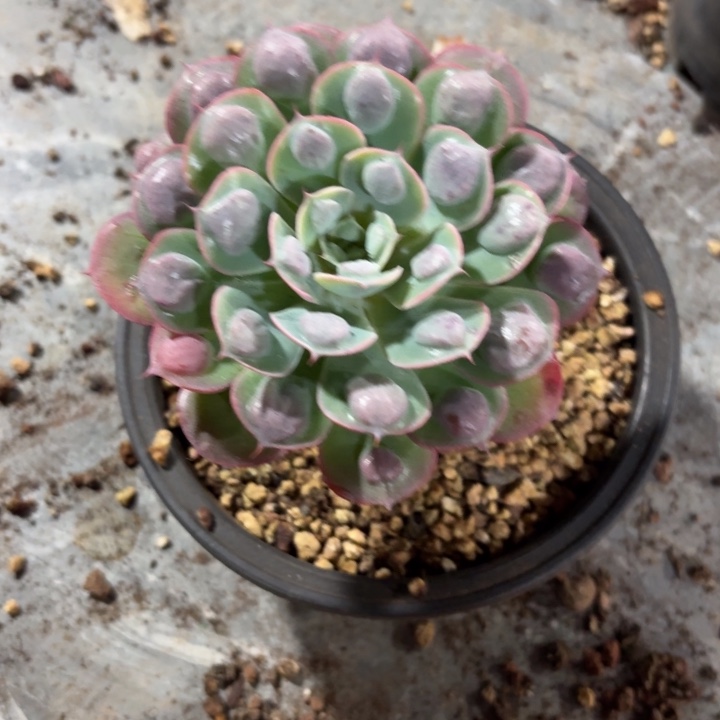 3喜欢附近都或多或少都好看