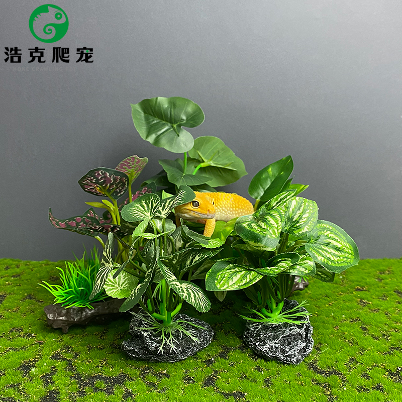 爬宠饲养箱造景布叶仿真植物水族鱼缸水草塑料装饰品假花树脂沉木