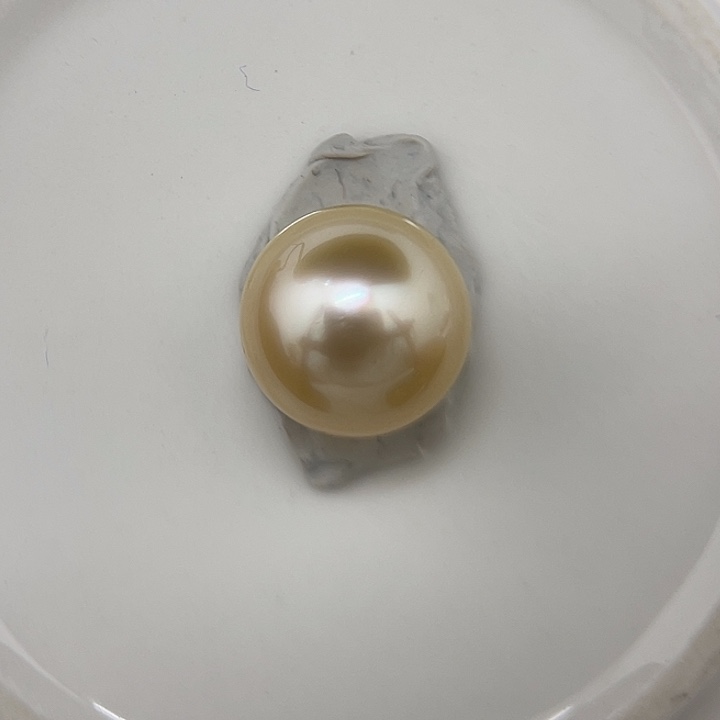 海水珍珠颈饰未镶嵌13.7mm 金珠 面珠 福利 不退换