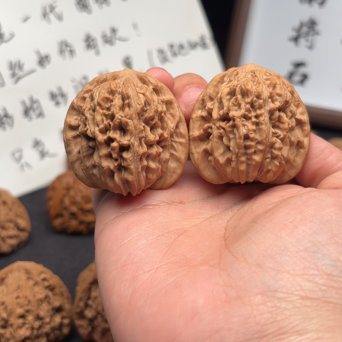 范***喵核桃四座楼山地全品