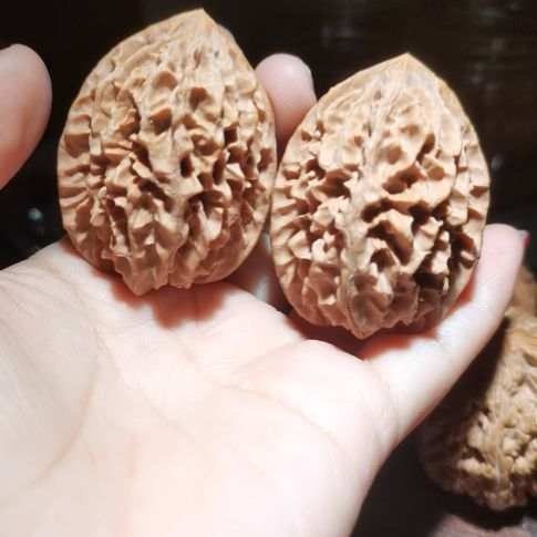 猴头核桃吊坠38招财鼠