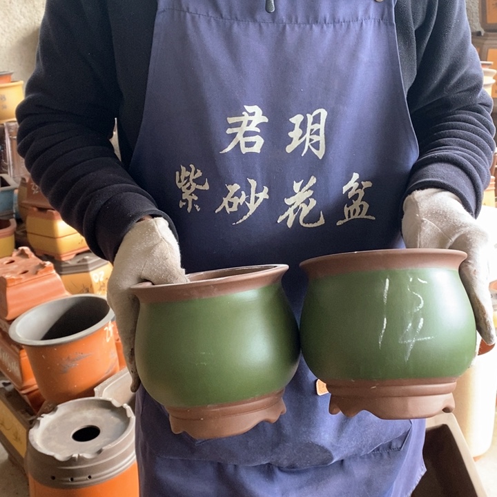 紫砂花盆盆栽花卉苗木种植