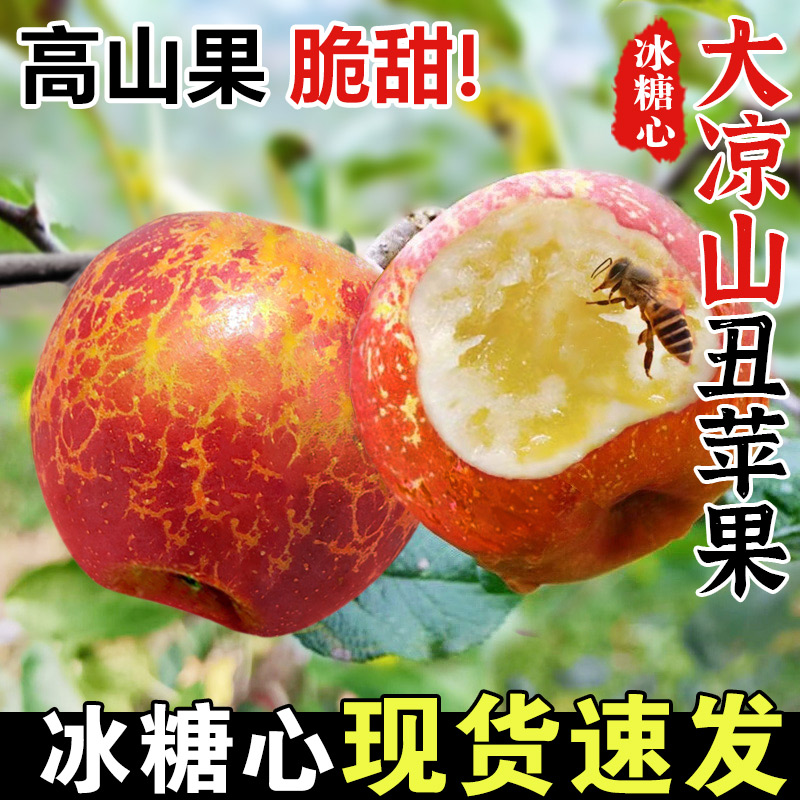【活动降价】25年四川大凉山盐源冰糖心丑苹果野生新鲜当季整箱