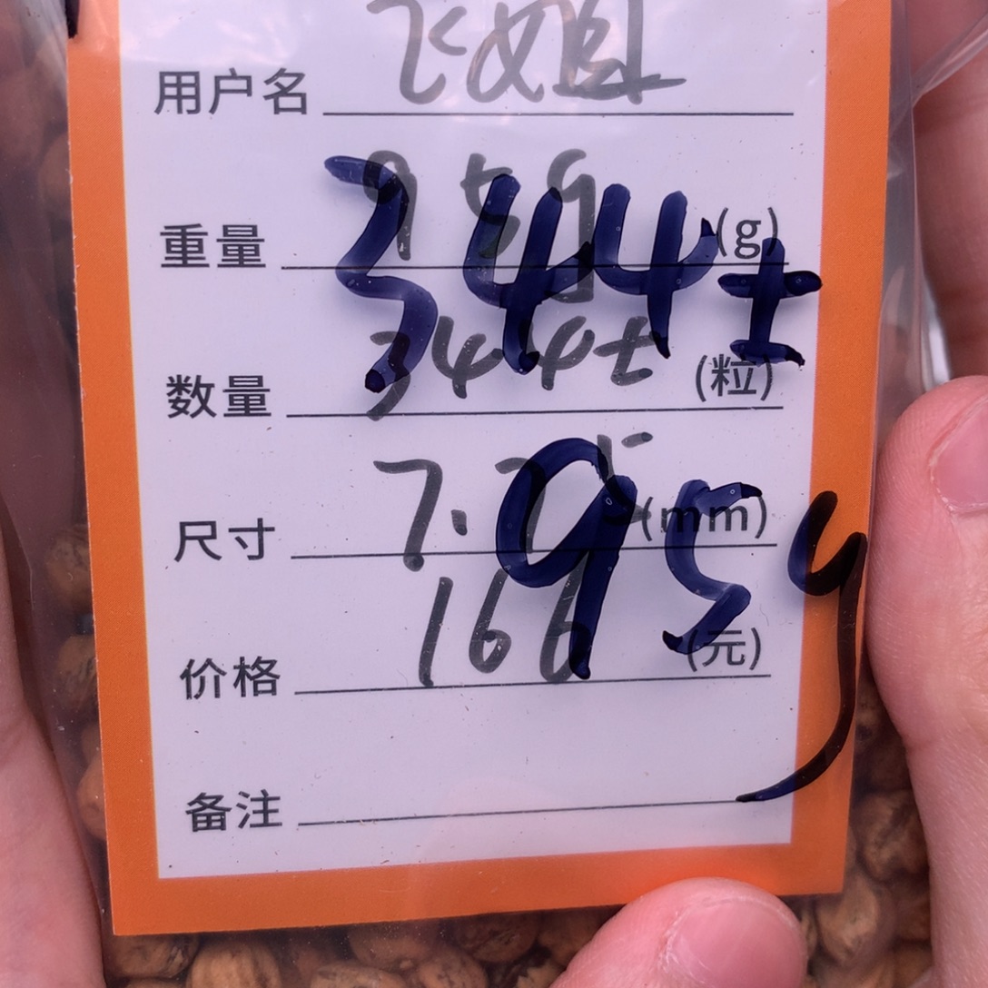 春***飞热振柏香脖挂散籽