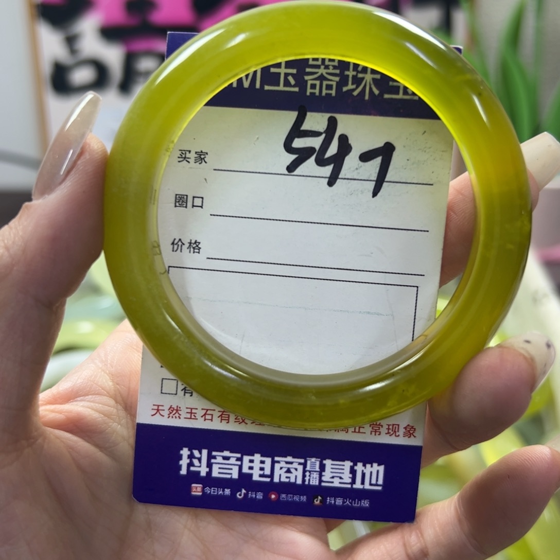 蛇纹石玉手镯未镶嵌548