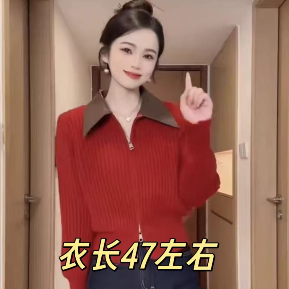 【艳子】740小个子~翻领拼接双拉链针织上衣