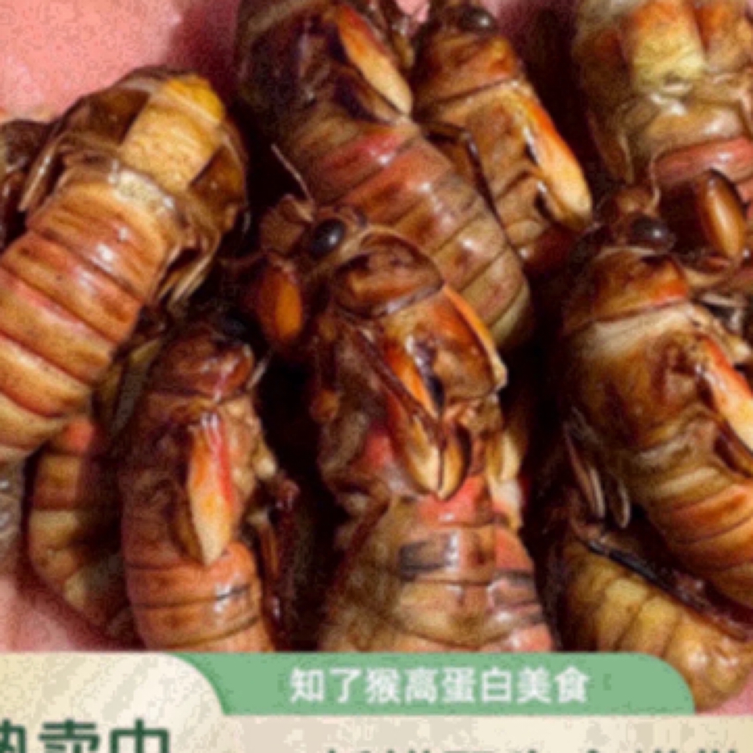 2025新鲜早春金蝉爬叉肉蛋顺丰包邮冷冻发货油炸爆香