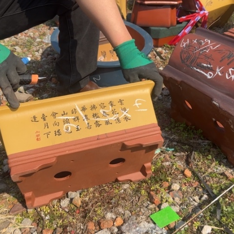 紫砂花盆紫砂花盆盆景盆栽