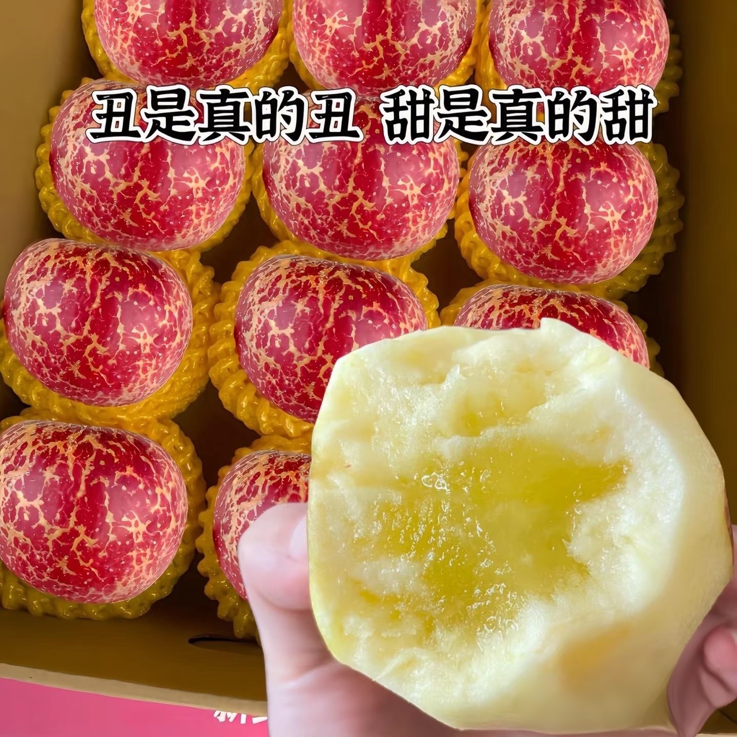 正宗云南昭通冰糖心丑苹果脆甜多汁新鲜当季水果产地直发5斤9斤装
