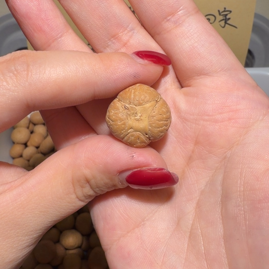 彭***也凤眼菩提吊坠彭也也