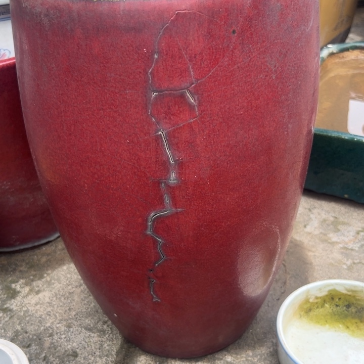 佛**哥我们都是好孩子呀打脸