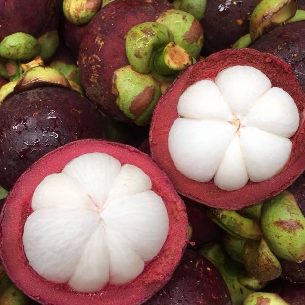 6A山竹散称1公斤