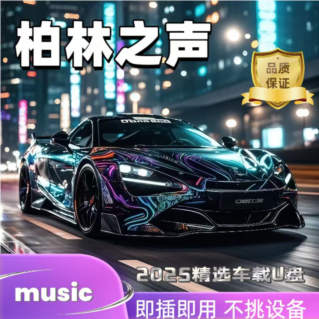 2025新款高品质热门歌曲车载音乐U盘便捷正版授权优盘