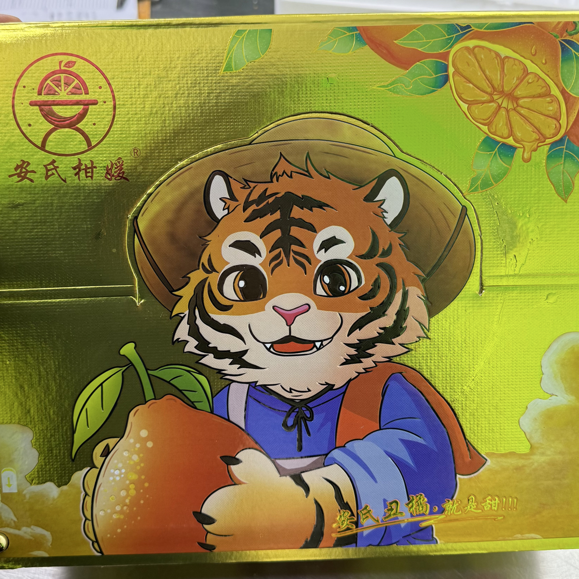 老牛优先 四川安氏虎头春见黄金礼盒冷保温箱发货1件净8斤 