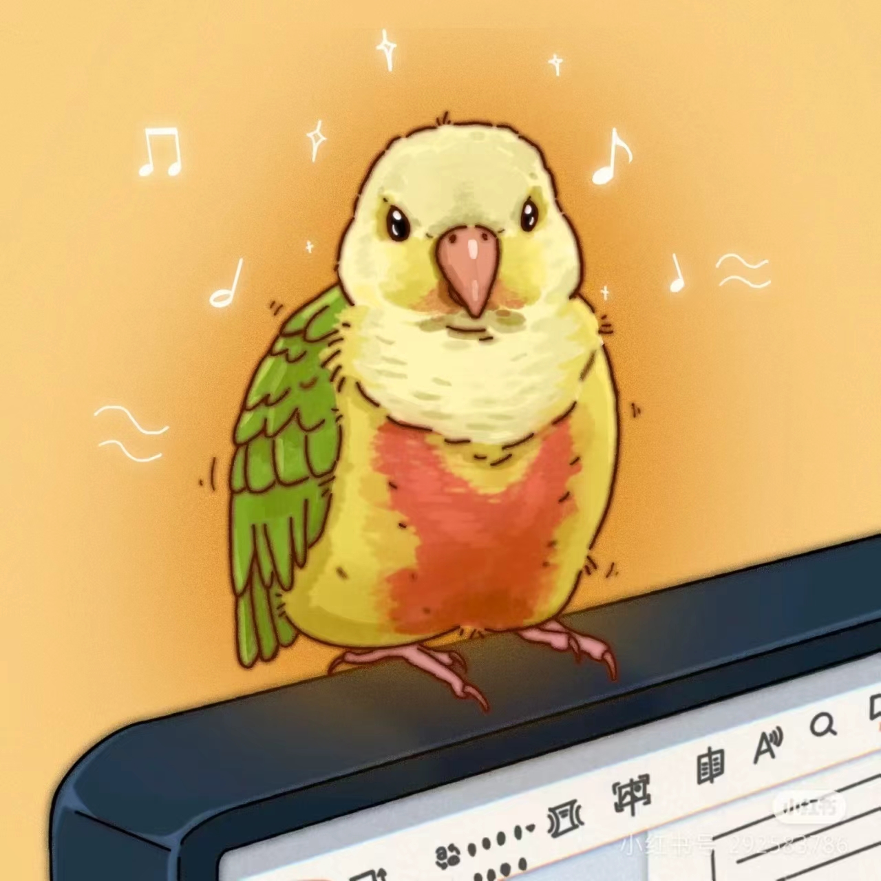 手养亲人可爱可互动的活体鹦鹉