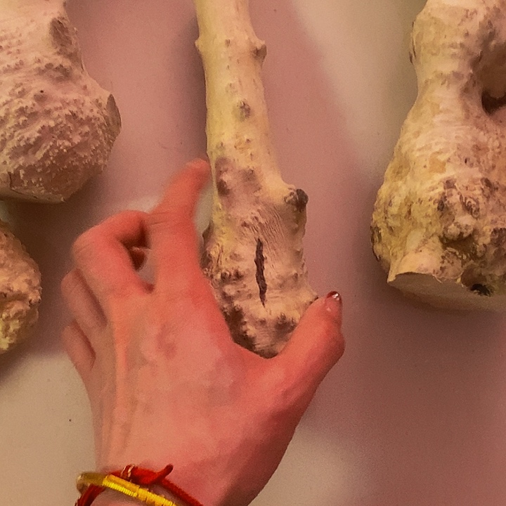 一***安黄杨木等多种木材