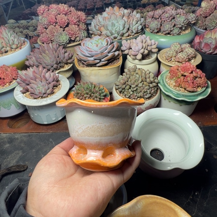 特价花盆随单发货内口7.5