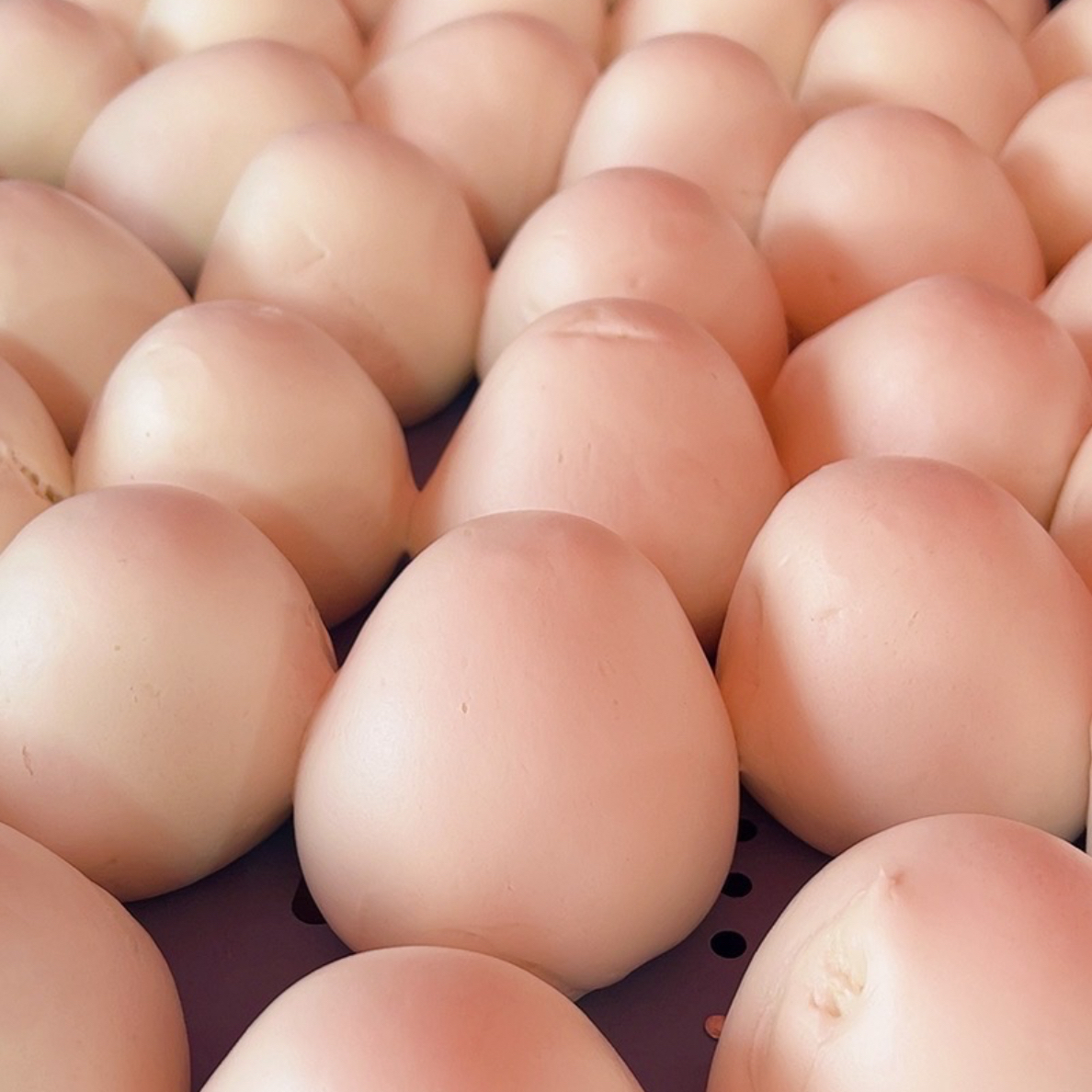 平凉清真手工老酵面蒸馍手工大馒头馒头1000g纯手工老面馒头