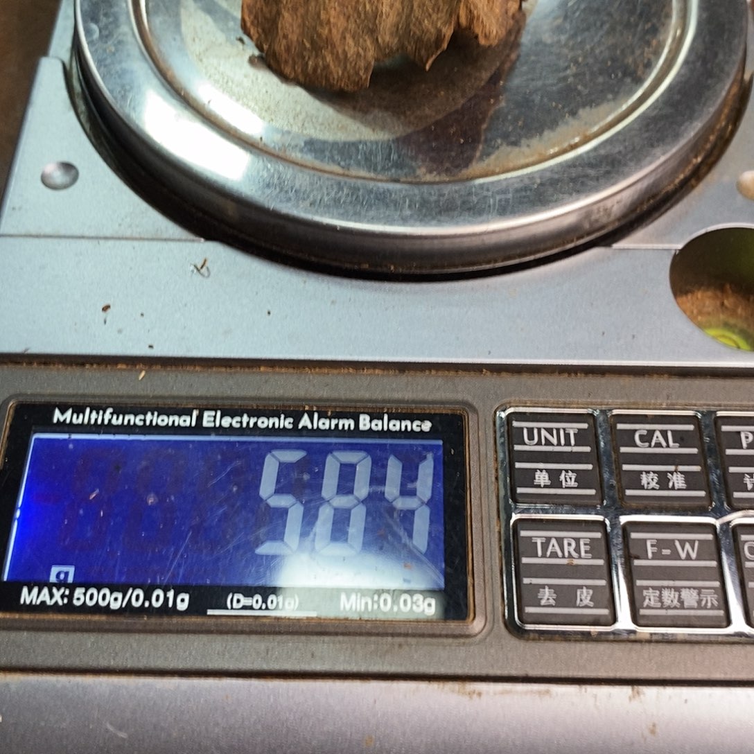 香料海南蜜香料一块（拍拍1